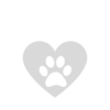 Untitled design